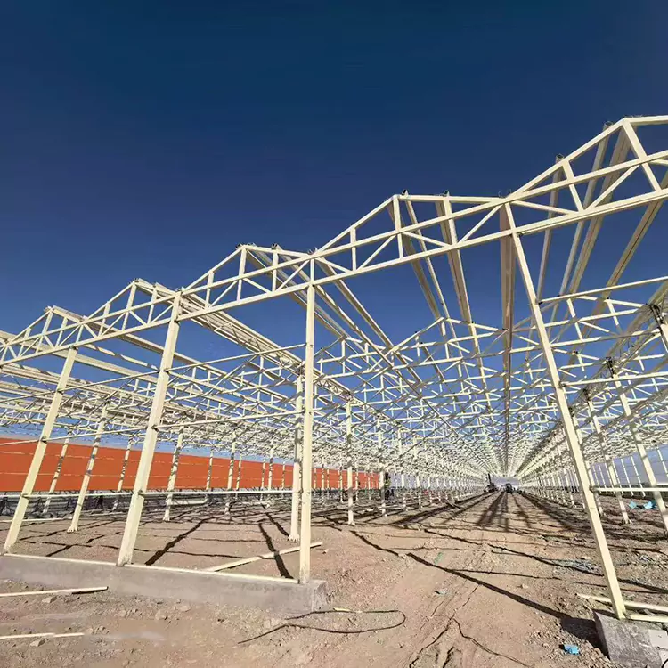 Zergatik da altzairu galvanizatuzko berotegi markoa nekazaritza modernorako aukerarik onena